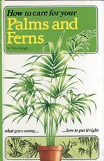 How to Care For Your Palms and Ferns