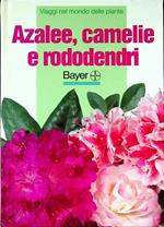 Azalee, camelie e rododendri. Viaggi nel mondo delle piante