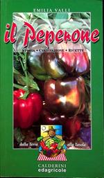 Il peperone: storia, coltivazione, ricette. Dalla terra alla tavola