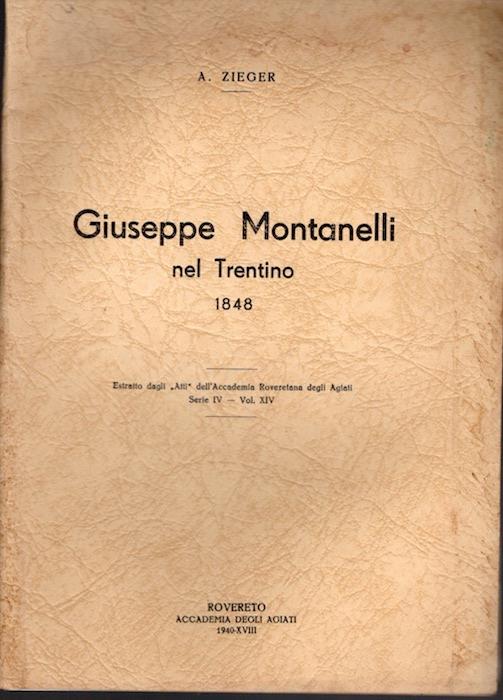 Giuseppe Montanelli nel Trentino nel 1848