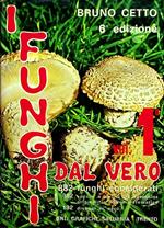 I funghi dal vero: Vol. 1°