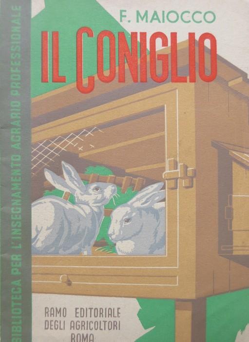 Il coniglio