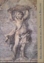 Musei e biblioteche della Provincia di Belluno