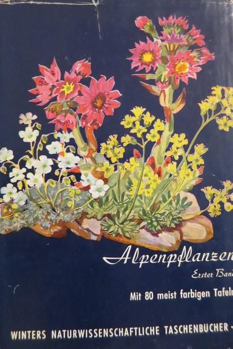 Alpenpflanzen: 1. Ranunculaceen, Crassulaceen, Saxifragaceen, Rosaceen, Papilionaceen 2. Oenotheraceen, Linaceen, Polygalaceen, Rhamnaceen, Umbelliferen 3. Labiatae, Scrophulariaceae, Orobanchaceae, Lentibulariaceae, Globulariaceae 4. Rubiaceae, Camp - Werner Rauh - copertina