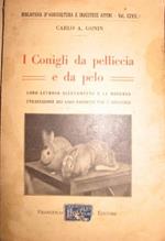 I conigli da pelliccia e da pelo