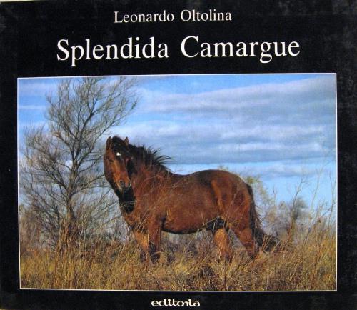 Splendida Camargue - Leonardo Oltolina - copertina