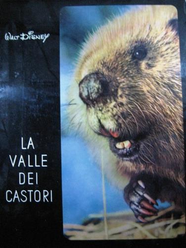 La valle dei castori - Walt Disney - copertina