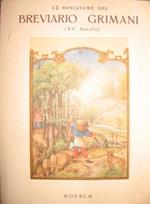 12 miniature del Breviario Grimani