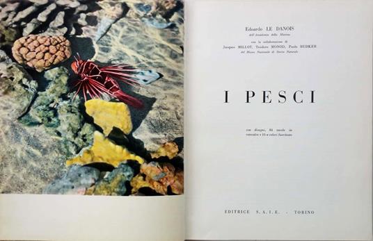 I pesci - copertina