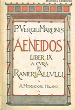 Aeneidos Liber Nonus