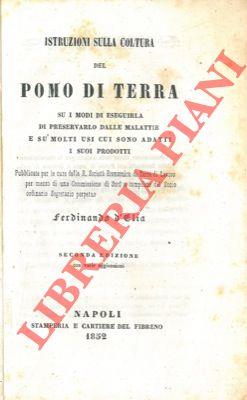Libreria Piani
