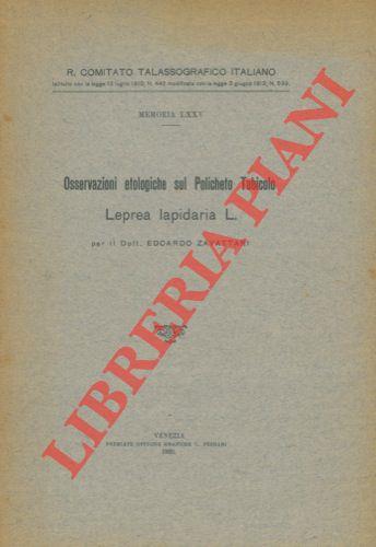 Libreria Piani