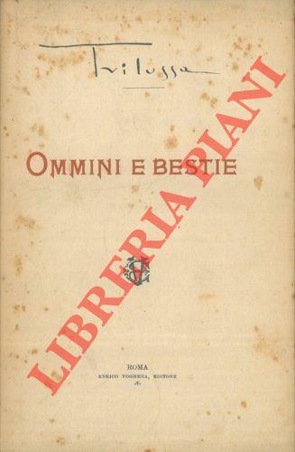 Libreria Piani