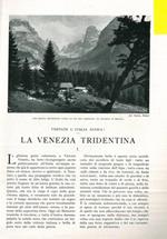 La Venezia Tridentina