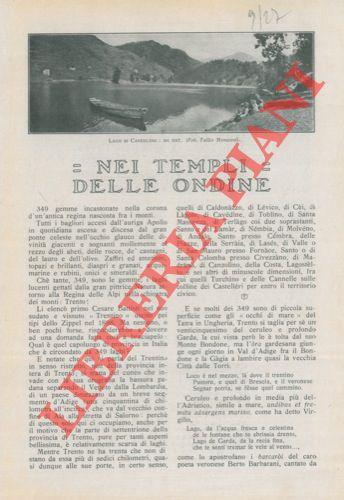 Libreria Piani