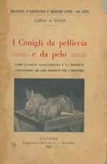 I Conigli da pelliccia e da pelo