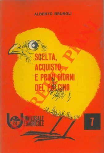 Libreria Piani
