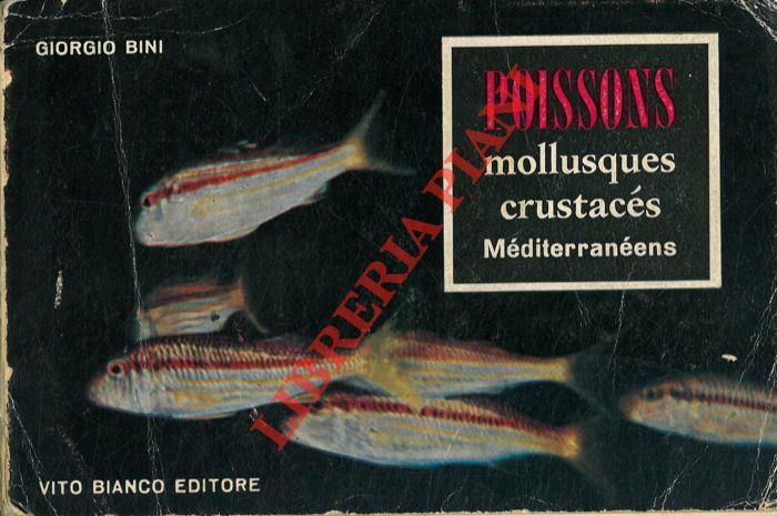 Catalogue des noms des poissons mollusques et crustacés d'importance commerciale en Méditerranée