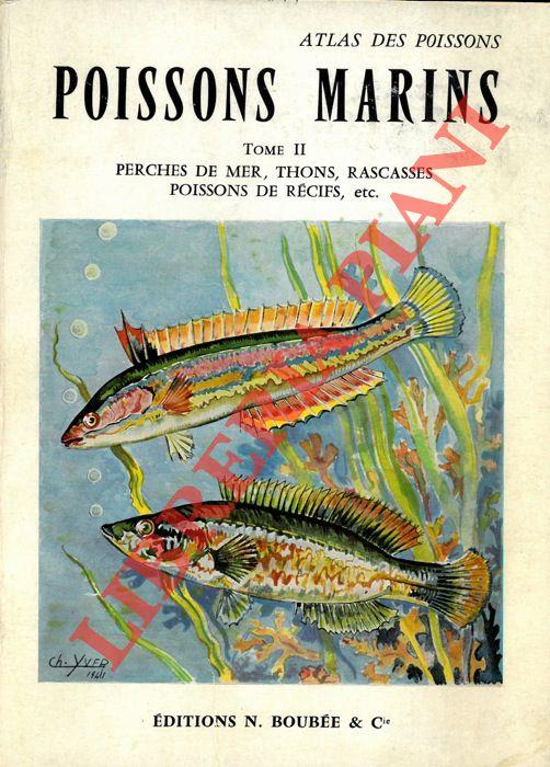 Atlas des Poissons. Fasc. II. Poissons marins. Tome II. Perches de mer, Thons, Rascasses, Poissons de Récifs, ec