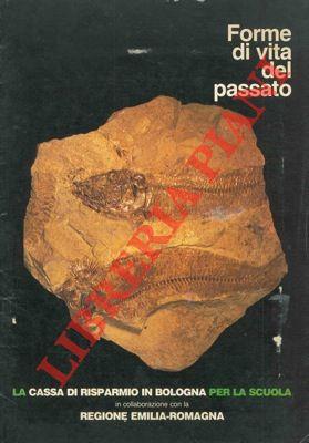 Libreria Piani
