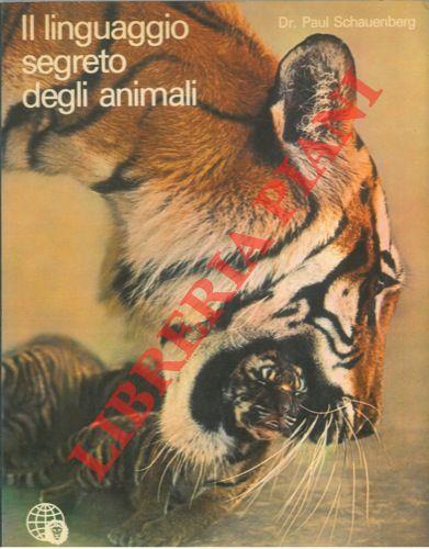 Libreria Piani