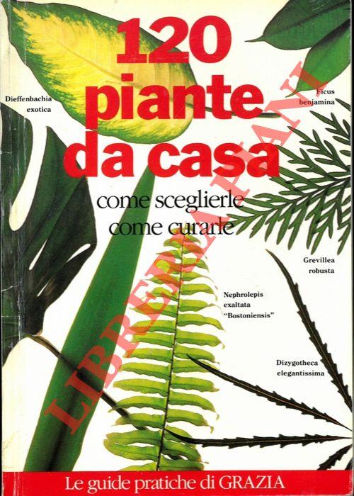 Libreria Piani