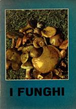 I funghi