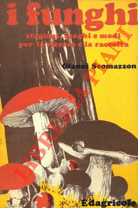 Libreria Piani