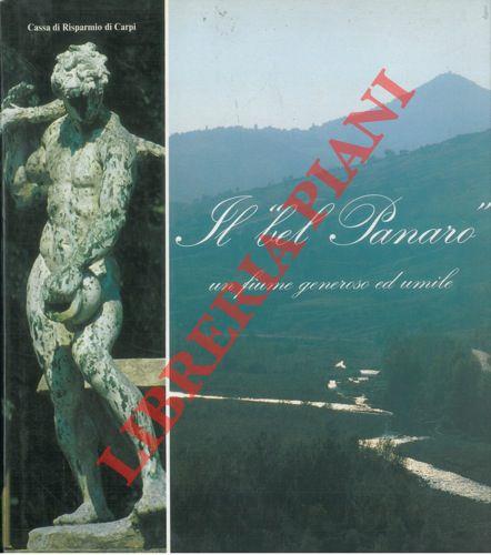 Libreria Piani