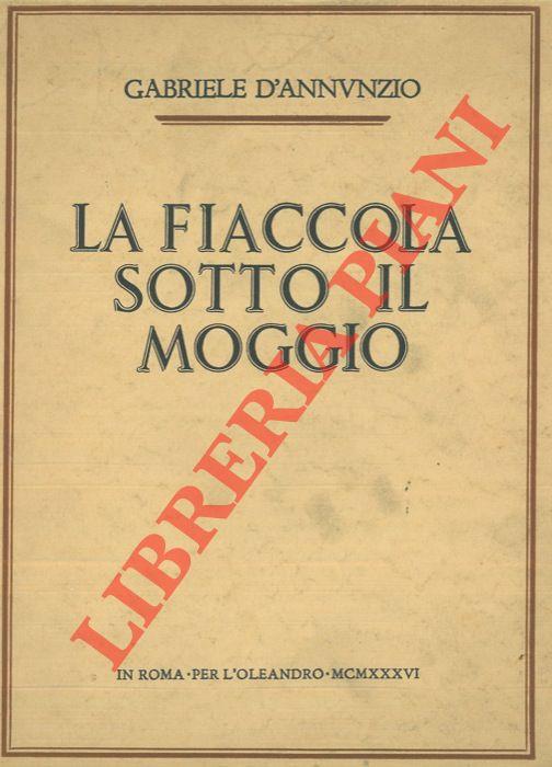 Libreria Piani