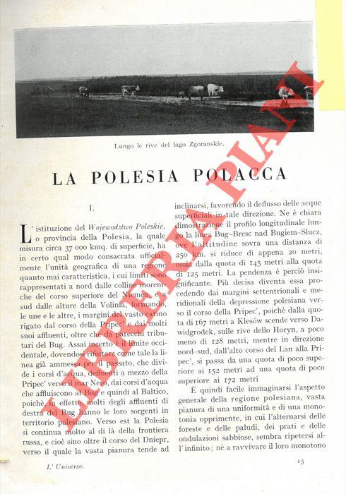 La Polesia polacca