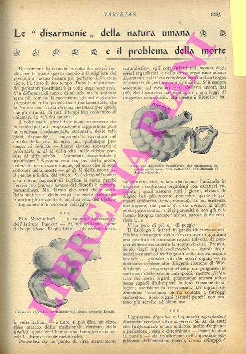 Le disarmonie della natura umana e il problema della morte