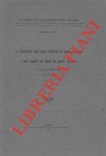 La disposizione degli organi ciatiformi del genere Aphya e suoi rapporti quella del genere Gobius