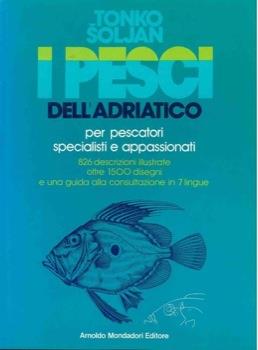 Libreria Piani