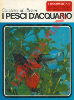 Libreria Piani