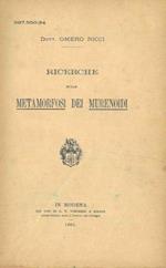 Ricerche sulle metamorfosi dei Murenoidi