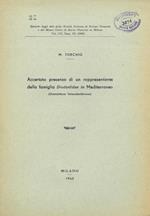Accertata presenza di un rappresentante della famiglia Diodontiidae in Mediterraneo