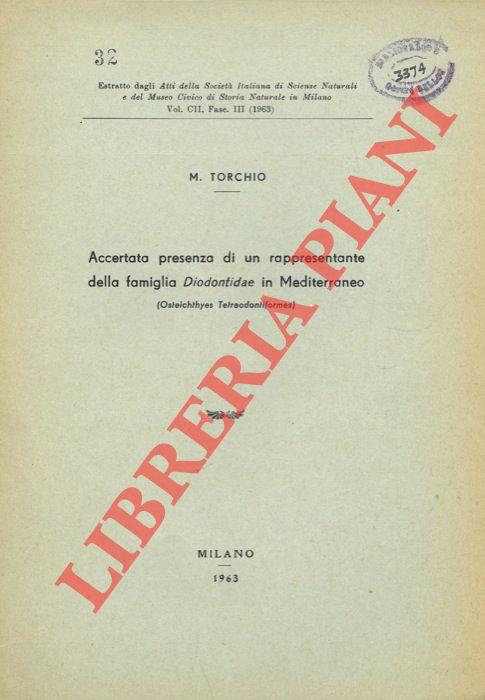 Accertata presenza di un rappresentante della famiglia Diodontiidae in Mediterraneo