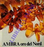 Ambra oro del Nord