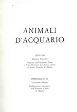 Animali d'acquari