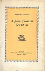 Aspetti spirituali dell'Islam