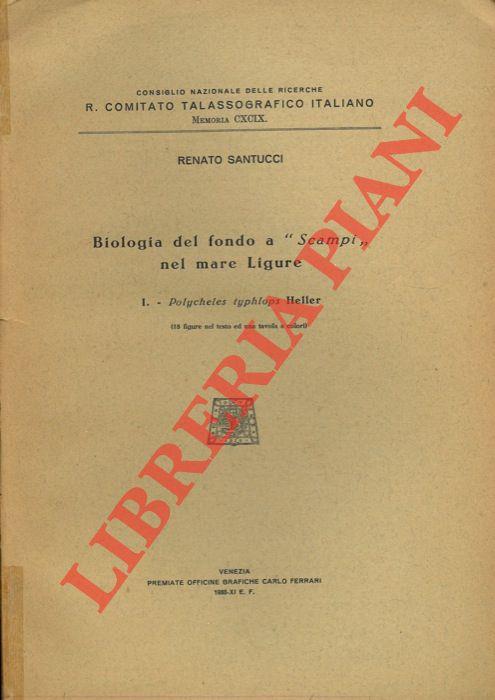 Libreria Piani