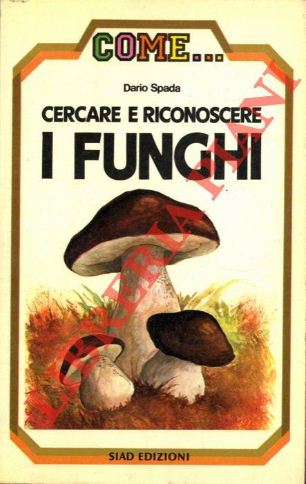 Libreria Piani