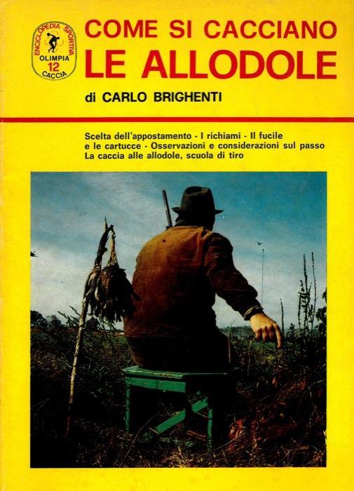 Come si cacciano le allodole - Carlo Brighenti - copertina