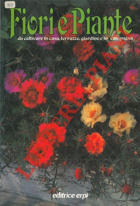 Fiori e piante da coltivare in casa, terrazzo, giardino e in campagna