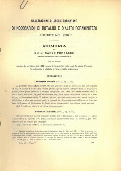 Illustrazione di specie orbignyane di Nodosaridi, di Rotalidi e d'altri foraminiferi istituite nel 1826 - Carlo Fornasini - copertina