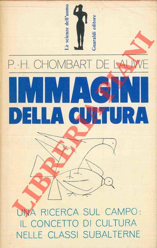 Immagini della cultura. Ricerche sullo sviluppo culturale