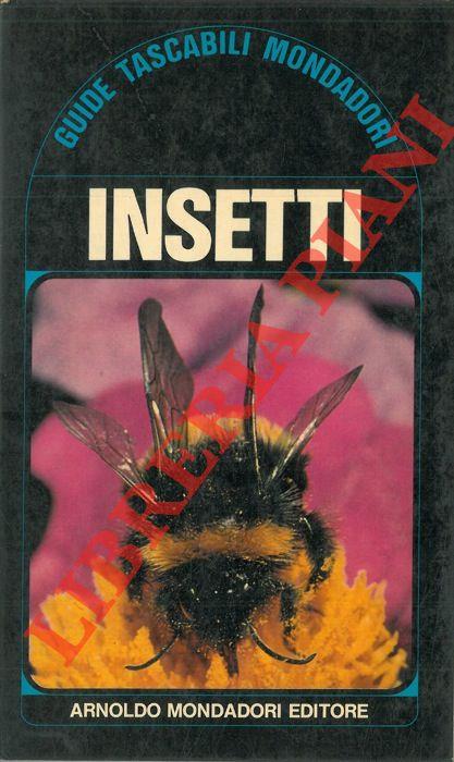 Insetti
