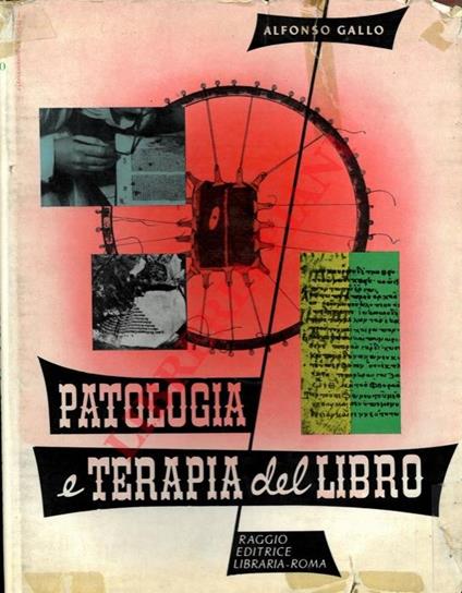 Patologia e terapia del libro. I - Alfonso Gallo - copertina
