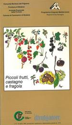 Piccoli frutti, castagno e fragola